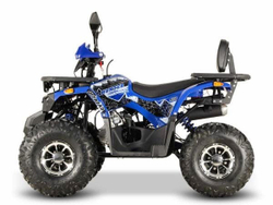 Квадроцикл GRIZZLY Aerox 125