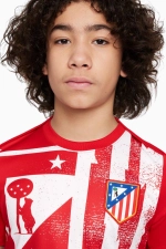 Футболка Nike Atlético Madrid 25/26 Academy Pro Junior - красный
