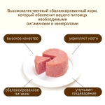 Wanpy Dog Консервы для собак из говядины, 375 г