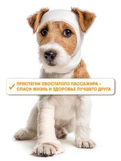 Автомобильная шлейка с ремнем безопасности, Монморанси,черный, M