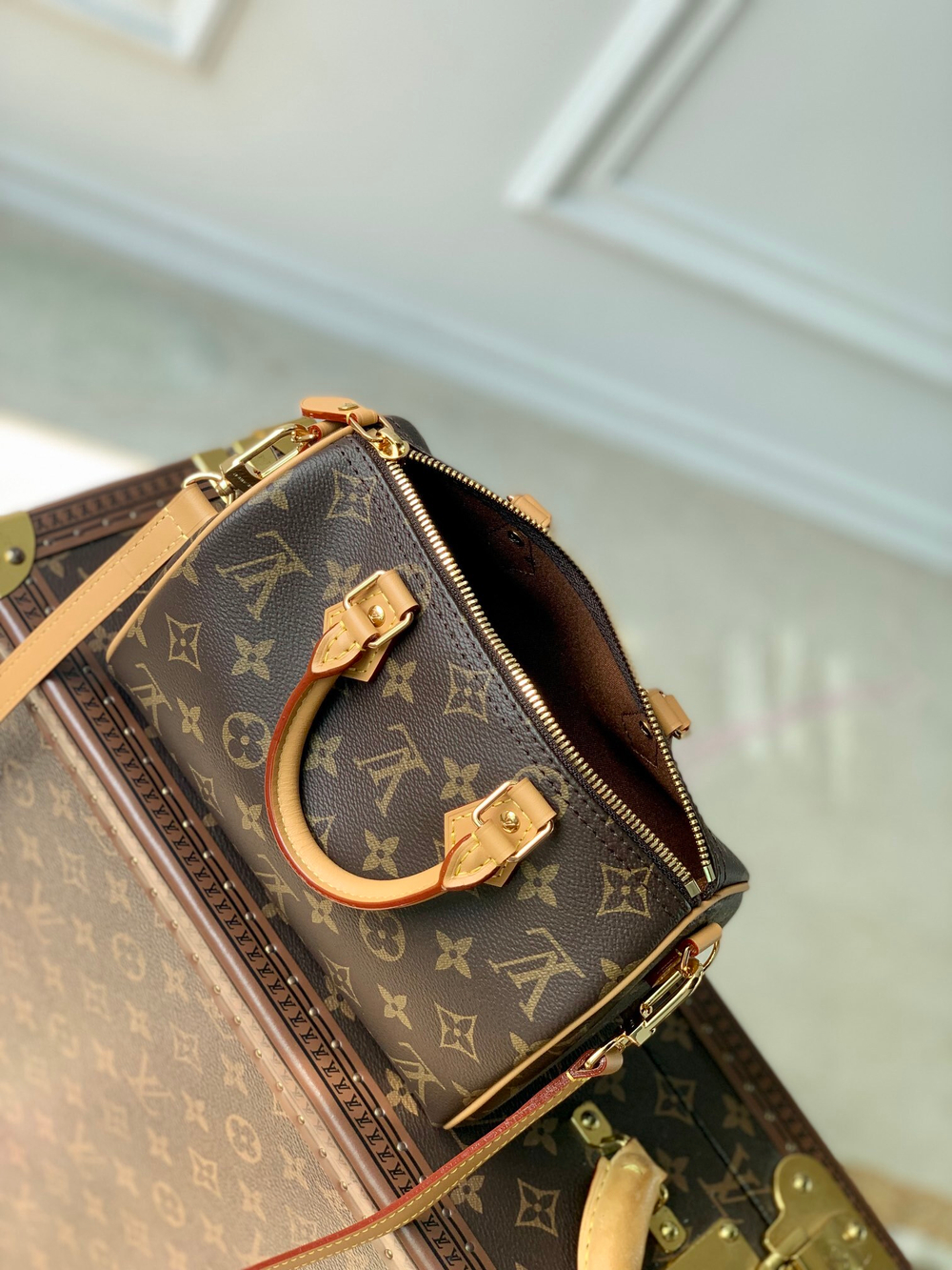 Louis Vuitton Speedy 20