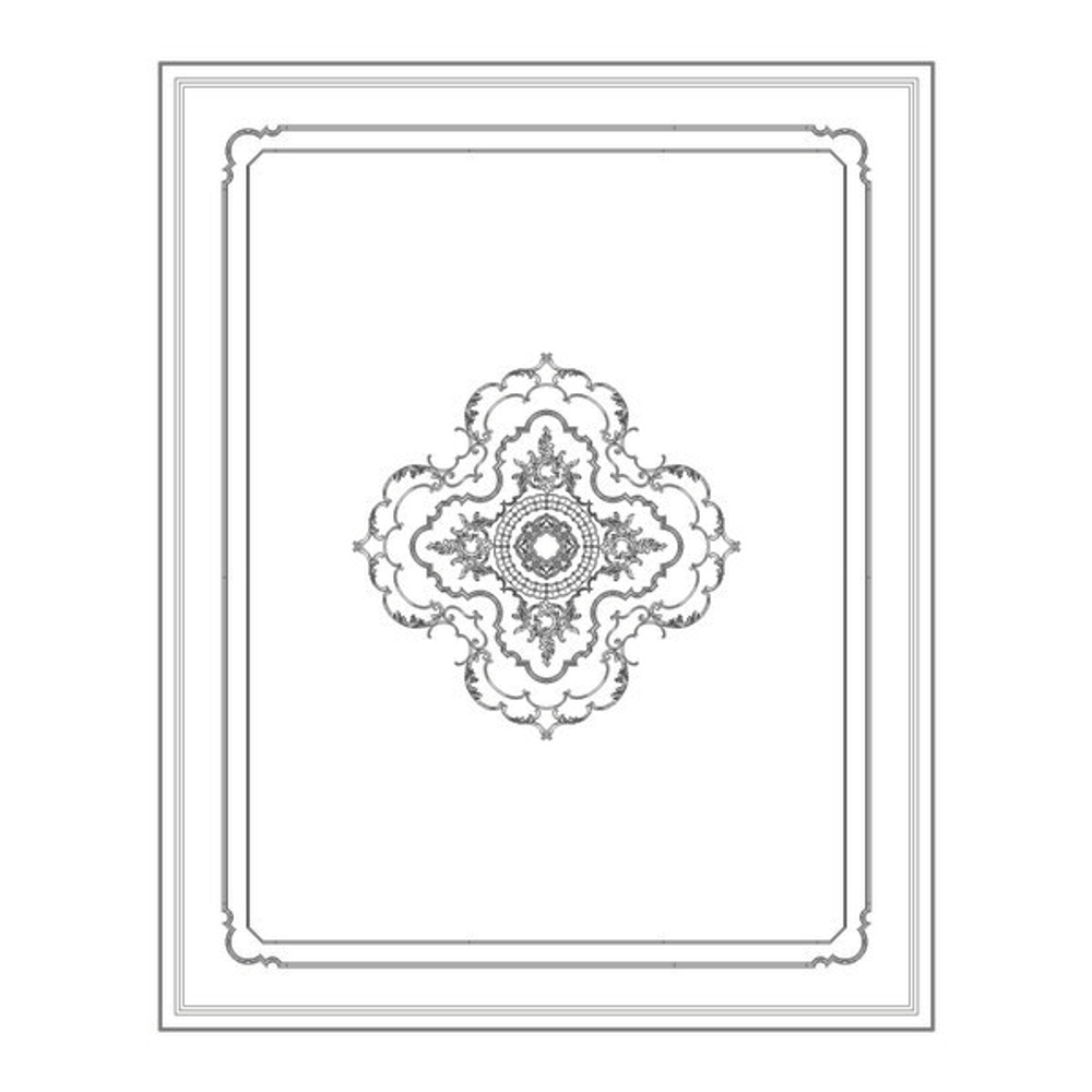 Потолок RODECOR Мандарин Ф2 88022CN (5000*4000)