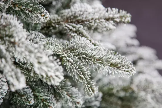 Ель искусственная Стильная заснеженная 120 см., литая хвоя+пвх, Black Box (74446)