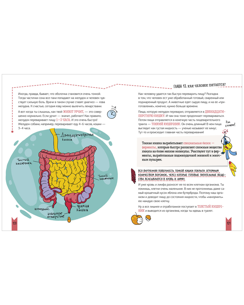 Этому в школе не научат! Реальная биология. Как устроено тело человека