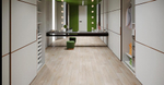 SunFloor SF33 Дуб Самоа