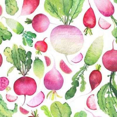 Акварельная редиска