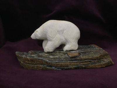 Белый медведь