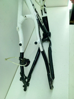 Рама Focus Black Forest