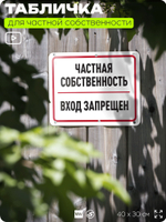 Табличка для частной территории "Частная собственность, вход запрещен", на дом, для участка, организаций, предупреждающая, 40х30 см, Silver Plane x Айдентика Технолоджи