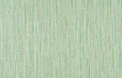 Обои бумажные Брянские обои Букле 05 0,53*10м