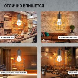 Светильник подвесной (подвес) ЭРА PL11 BK металл, E27, max 60W, высота плафона 220мм, подвеса 730мм, черный