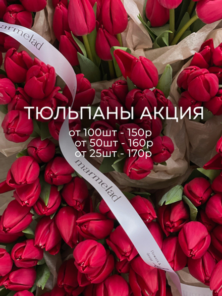 АКЦИЯ тюльпан - классика КРАСНЫЙ