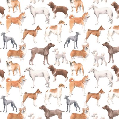 Ретро Собаки