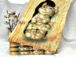 Полотенце Япония 70/140 С 2017