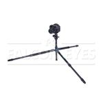 Falcon Eyes Arctic Line 817 SBH-8x