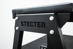 Обратная экстензия (Reverse Hyper)