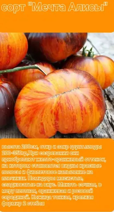 МЕЧТА АЛИСЫ