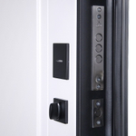 Стальная дверь "Амстердам" (биометрический замок DZ 888). Заказная модель.