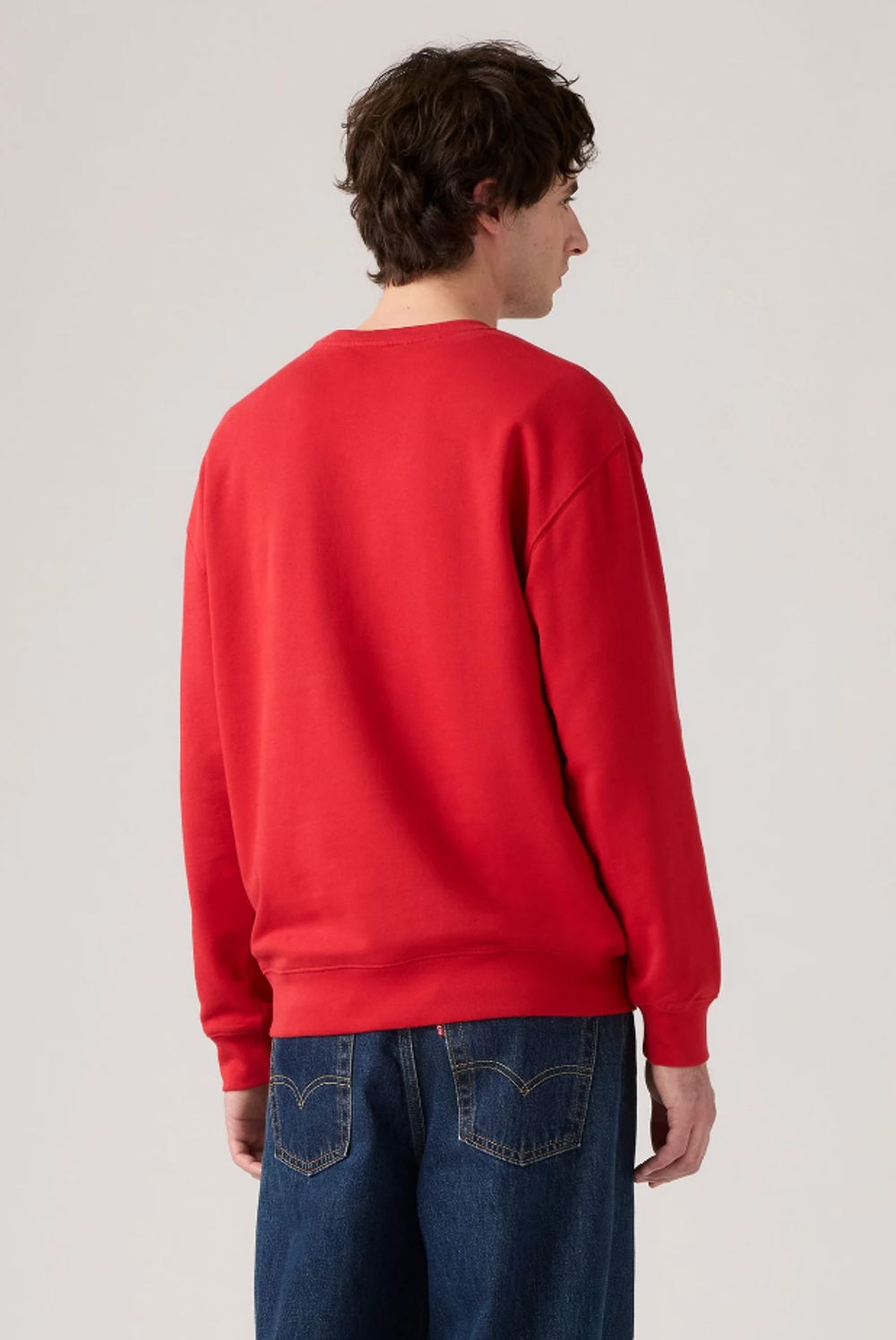 Толстовка мужская LEVI'S RELAXD GRAPHIC CREW