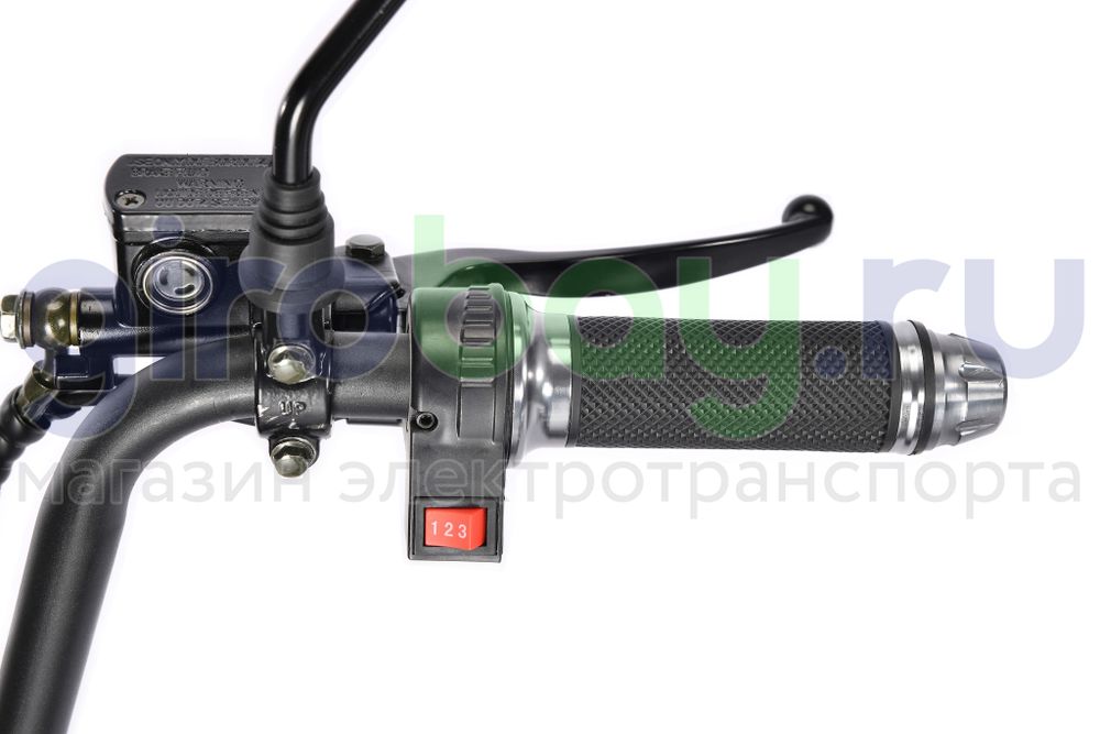 Электроскутер WHITE SIBERIA TRIKE MINI 1500W - Черный фото 18 фото №20