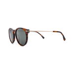 Очки Family Optic WD8019 C3 панто гавана золотые
