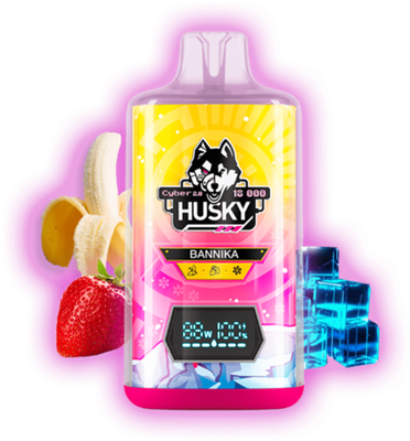 HUSKY CYBER 2.0 18000
