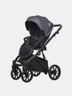 Коляска MONTANA ECCO (2 в 1) (RIKO BASIC)