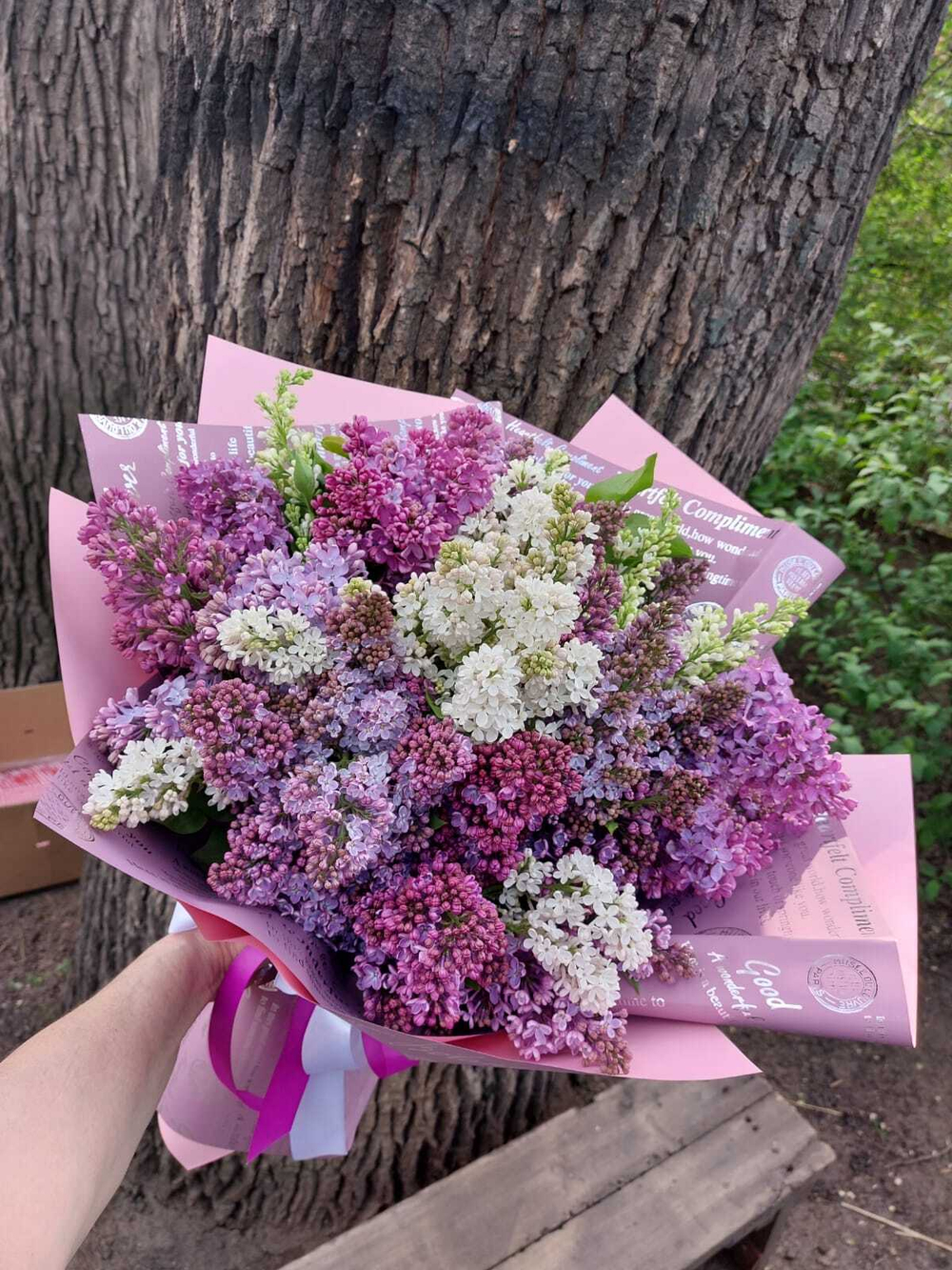 Букет из сирени