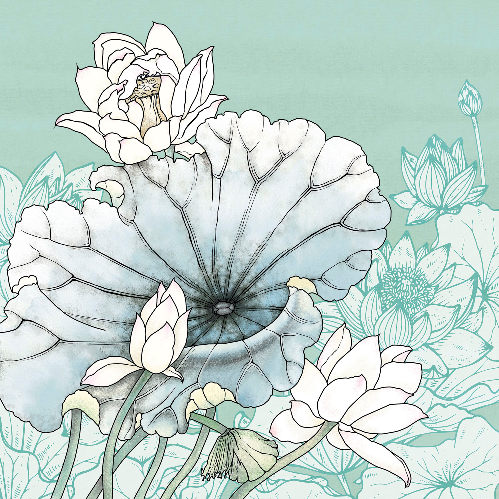 Коллекция Grafika Natura