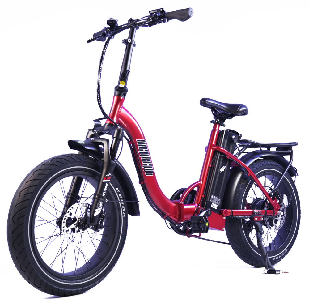 Электровелосипед Медведь Fold MS 750 HD (2024)