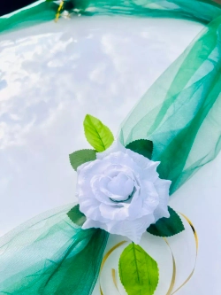 Лента на капот