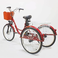 Электровелосипед Green Camel Трайк-24