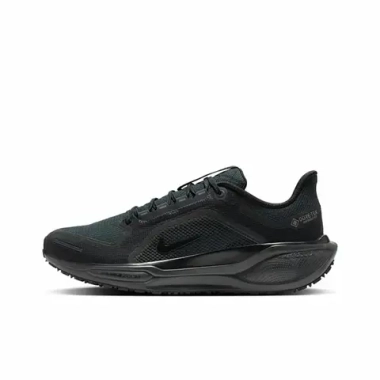 Мужские кроссовки Nike Air Zoom Pegasus 41 Gore-Tex 'Black Anthracite' FQ1356-001