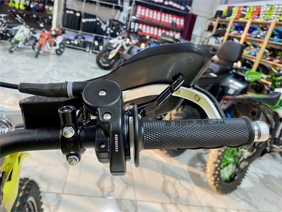 Мотоцикл BRZ Z6 PR300 (172FMM-PR) ENDURO