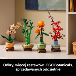 LEGO Botanicals - Маленькая орхидея 10343