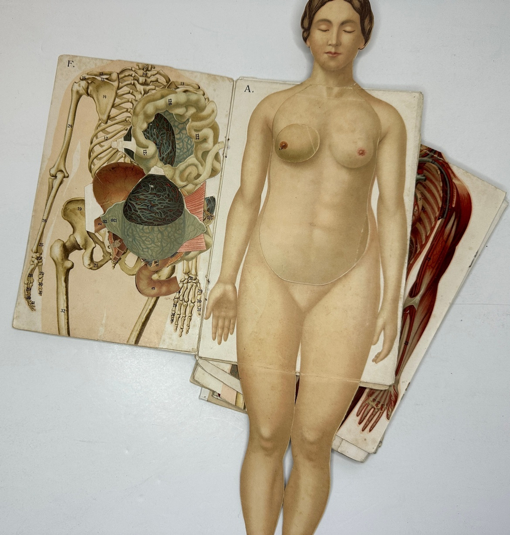 Платен М. Новый способ лечения. Лечение целебными силами природы. — Берлин: Изд. Просвещение, 1901