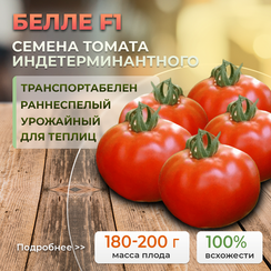 БЕЛЛЕ F1 семена томата (Enza Zaden | Alexagro)