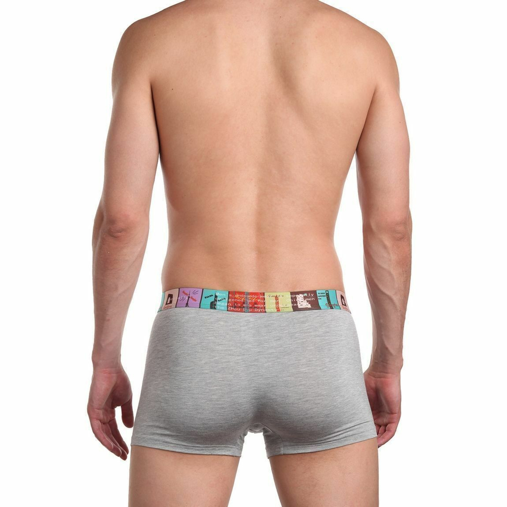 Мужские трусы-боксеры с широкой резинкой (Размер: L) (Цвет: серый)
