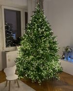 Ель искусственная «Лесная красавица» (Литая хвоя) от 1,2 м до 3 м
