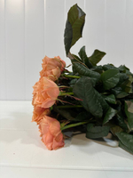 Букет из 11 шт пионовидной розы Питер Парк