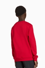 Кофта adidas Entrada 26 Sweat Junior - красный