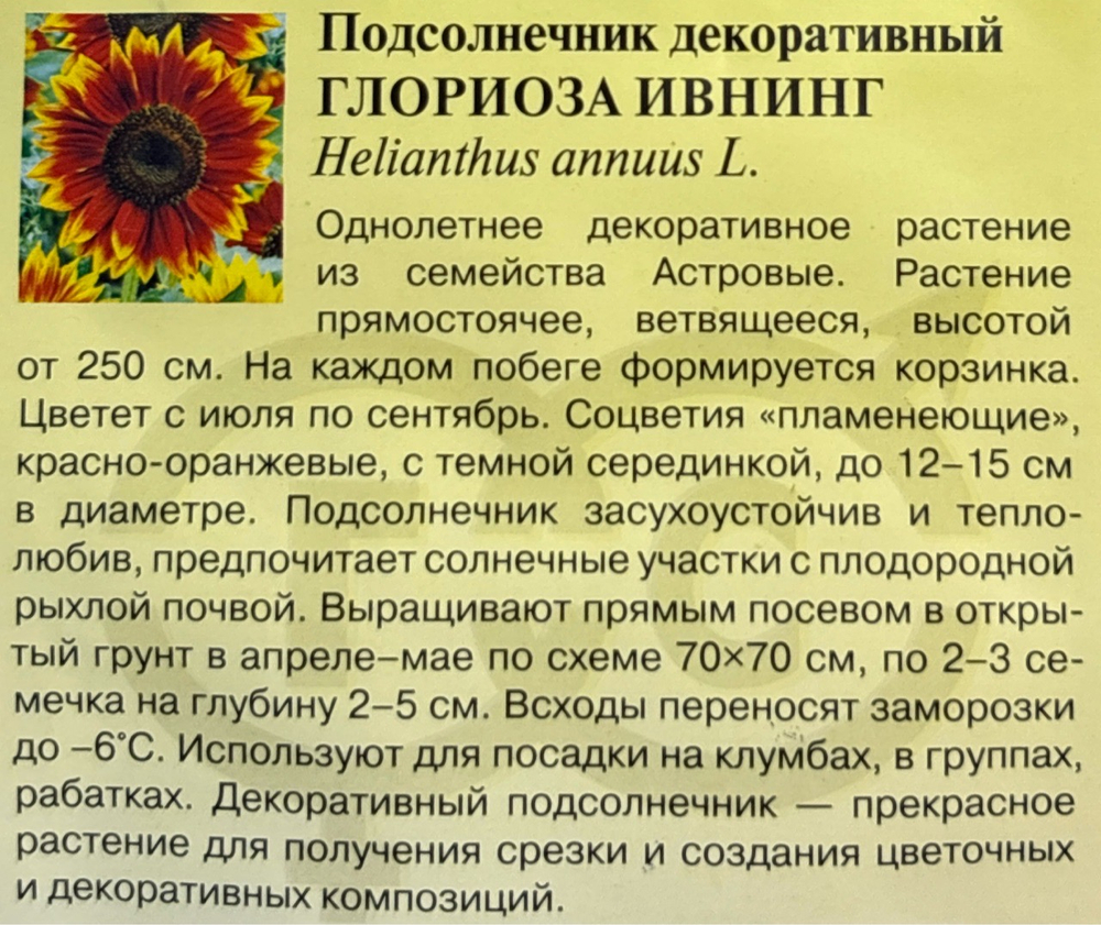 Подсолнечник Глориоза Ивнинг 0,5 г СМЦ-380