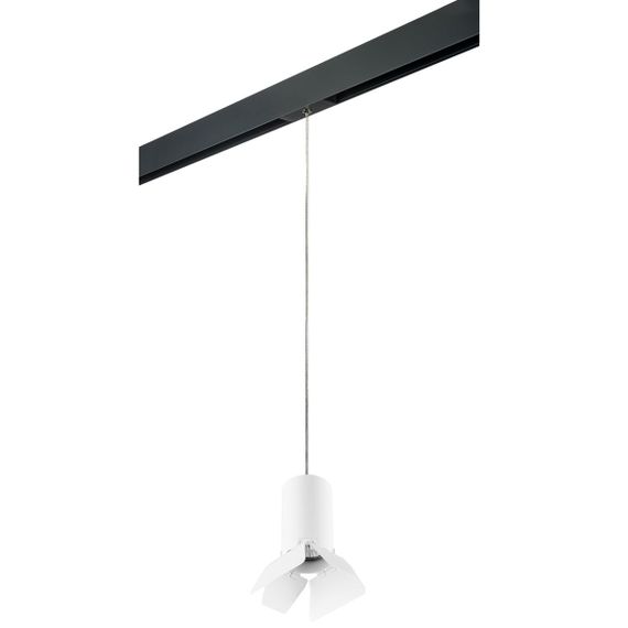 Комплект с трековым светильником Lightstar Rullo (214436+595857+202436) PRORP436436