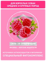 Сухой корм MOLINA SENSITIVE для взрослых собак средних и крупных пород с Индейкой и телятиной 12кг