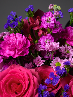 Фестиваль красок *