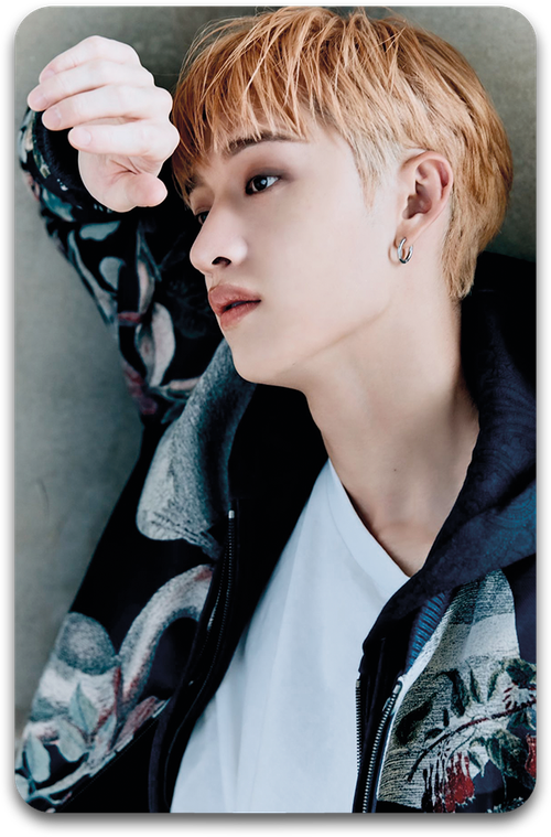 Карта / STRAY KIDS #3097