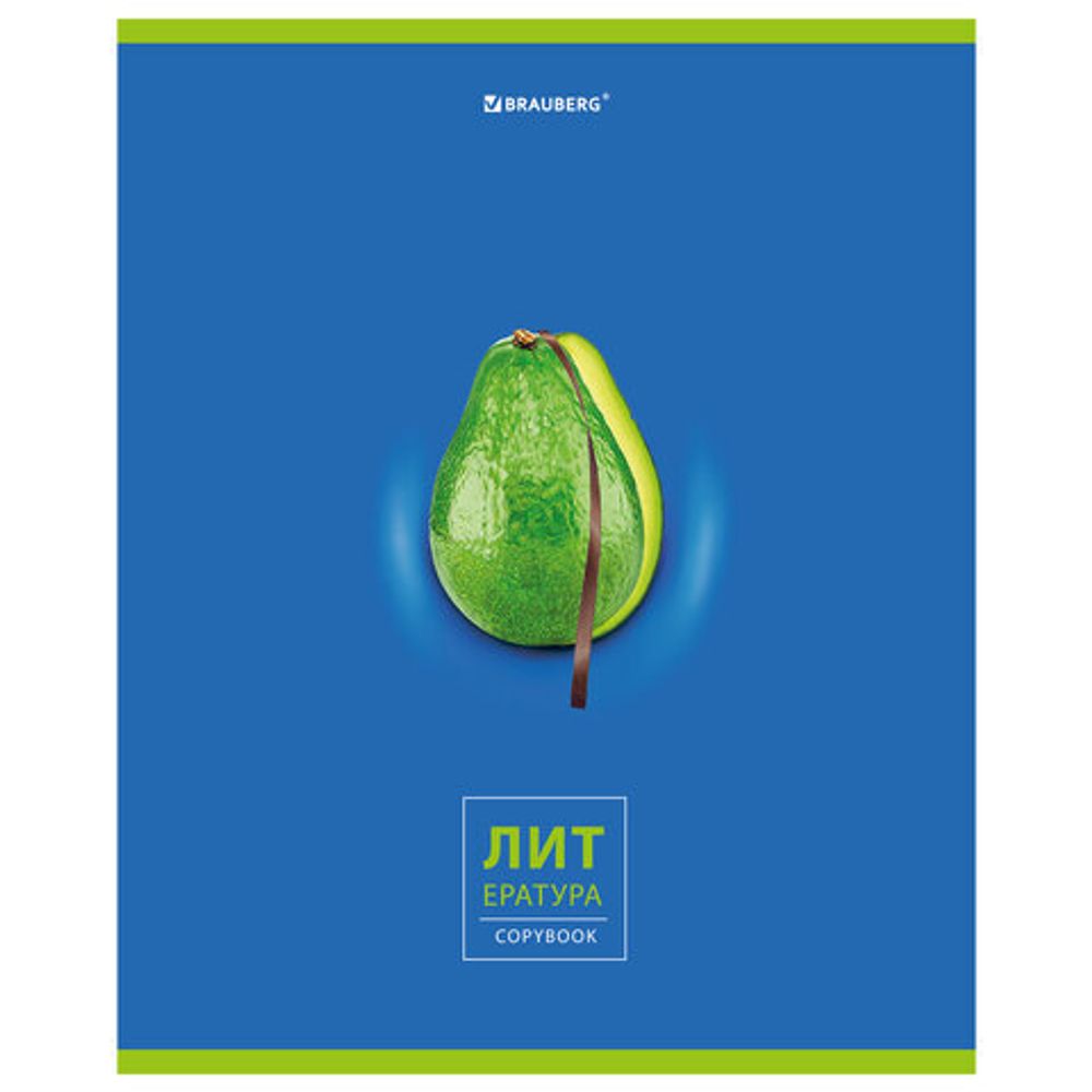 Тетрадь предметная "AVOCADO" 48 л., глянцевый лак, ЛИТЕРАТУРА, линия, подсказ, BRAUBERG, 404281