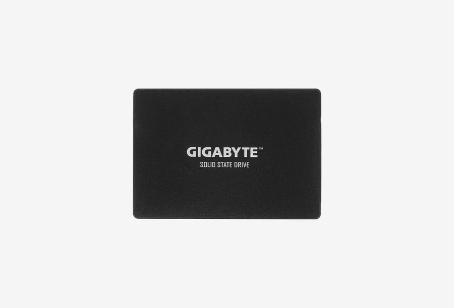 GP-GSTFS31256GTND_0126606105307