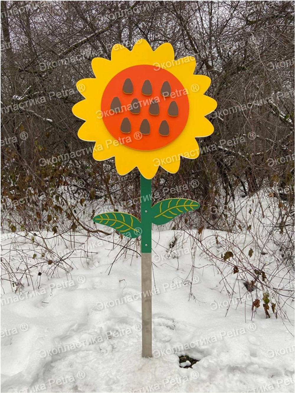 Модуль уличный Подсолнух с семечками