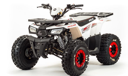 Квадроцикл MOTOLAND (МОТОЛЕНД) 125 WILD